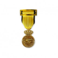 Medalla Conmemorativa DANA...