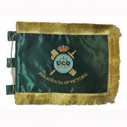 Bandera Unidad Central...